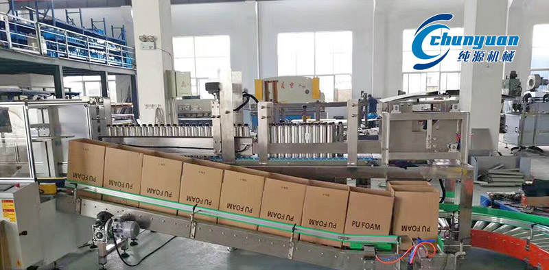 装箱机，挑选装箱机，纯源装箱机，ng体育